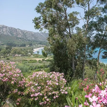 Terrasse La Citadelle Florent Saint-Florent (Corsica)